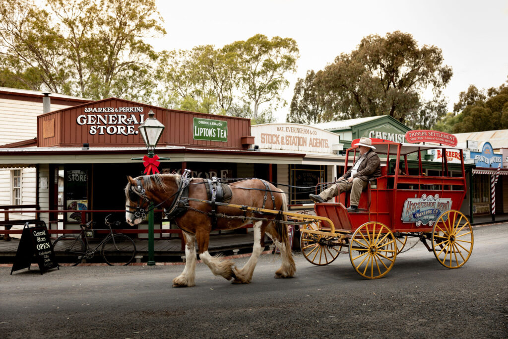 SwanHill24-2565